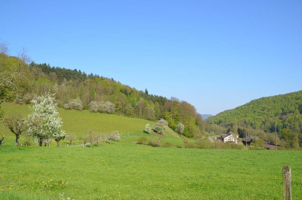 Bad Schauenburg Liestal Exterior foto