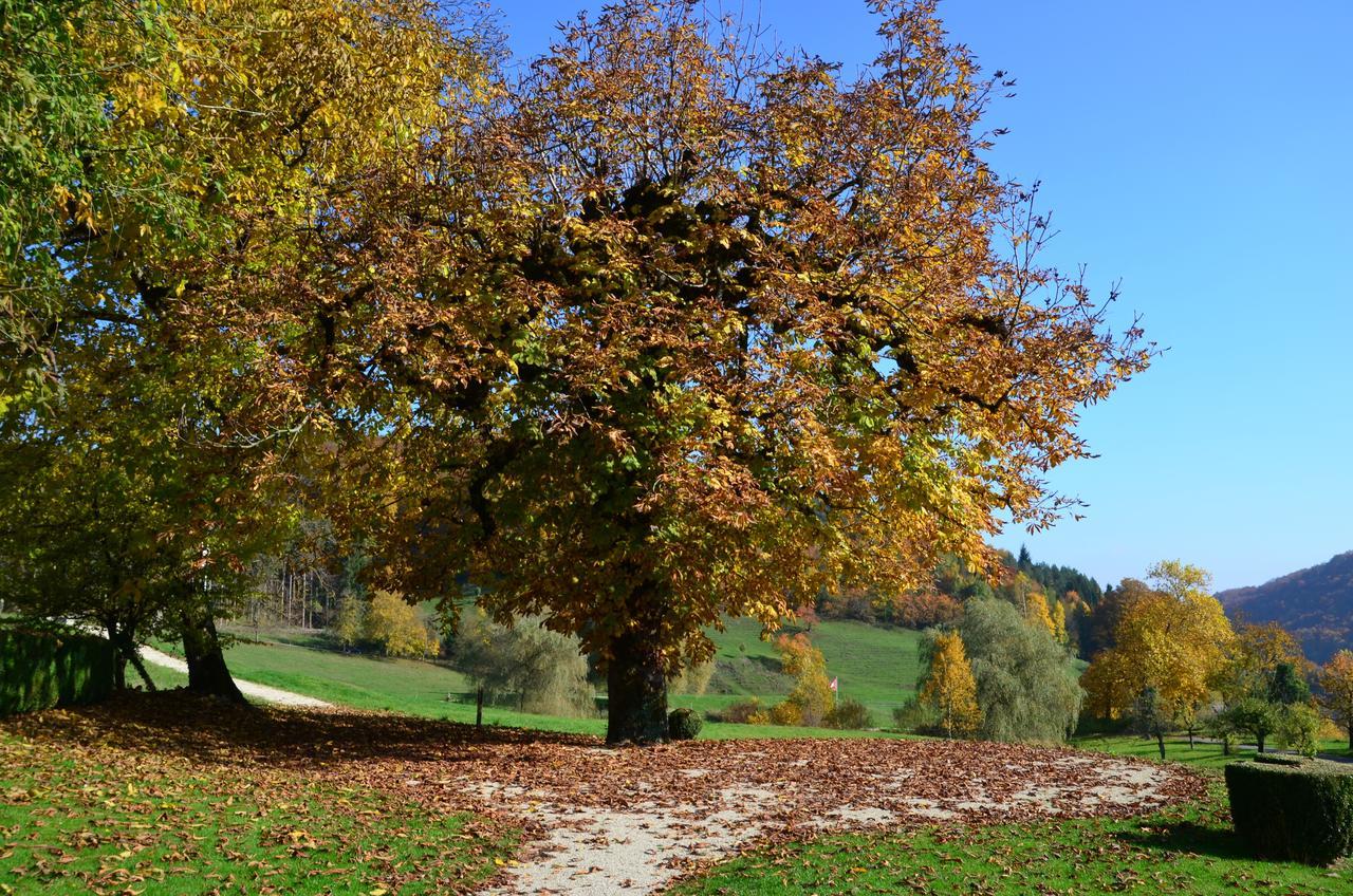 Bad Schauenburg Liestal Exterior foto